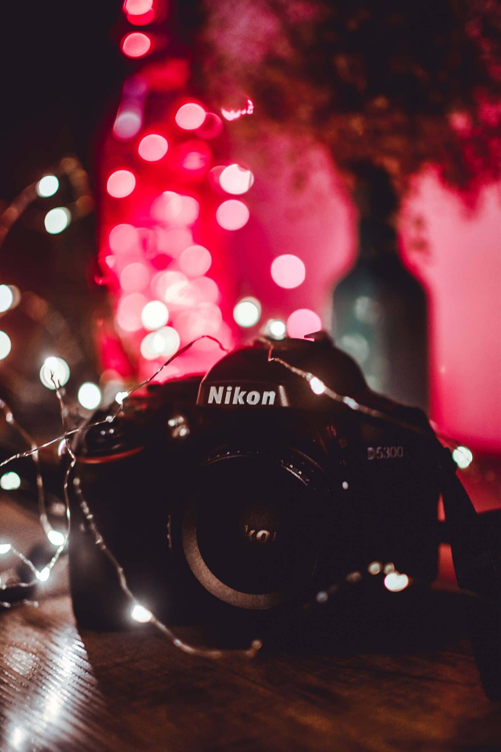 NIKON DIGITAL CAMERA: DIGITAL SLR CAMERAS