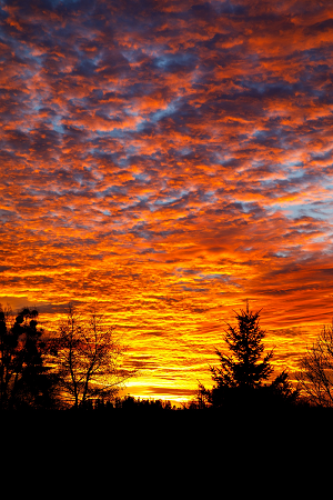Sunset Clouds